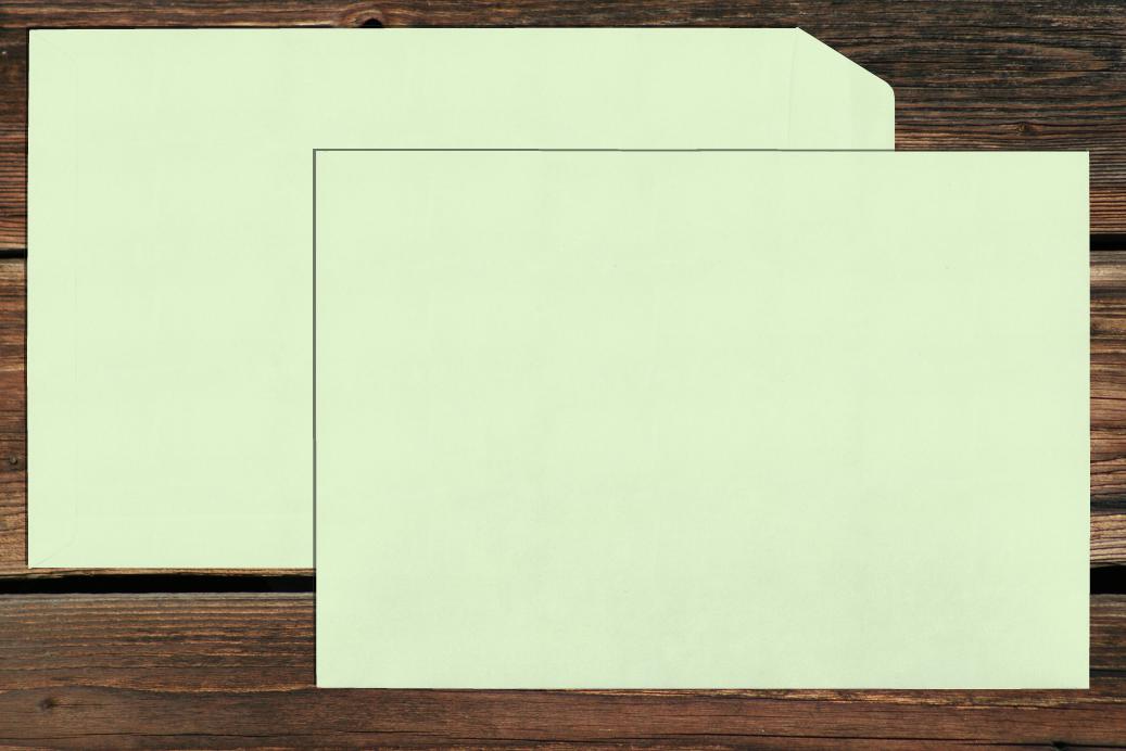 Versandtaschen 220x312 mm Nassklebend Hellgrün 120 g/qm